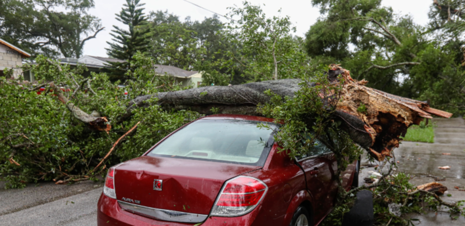 After a storm, a tree has broken and fallen on top of a parked car