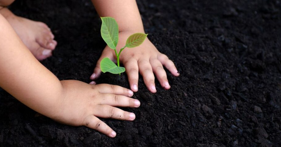 Child's hands in the soil after a tree planting job by Next Level Tree Care in Shawnee, Kansas