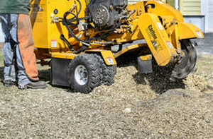 Stump grinding by Next Level Tree Care