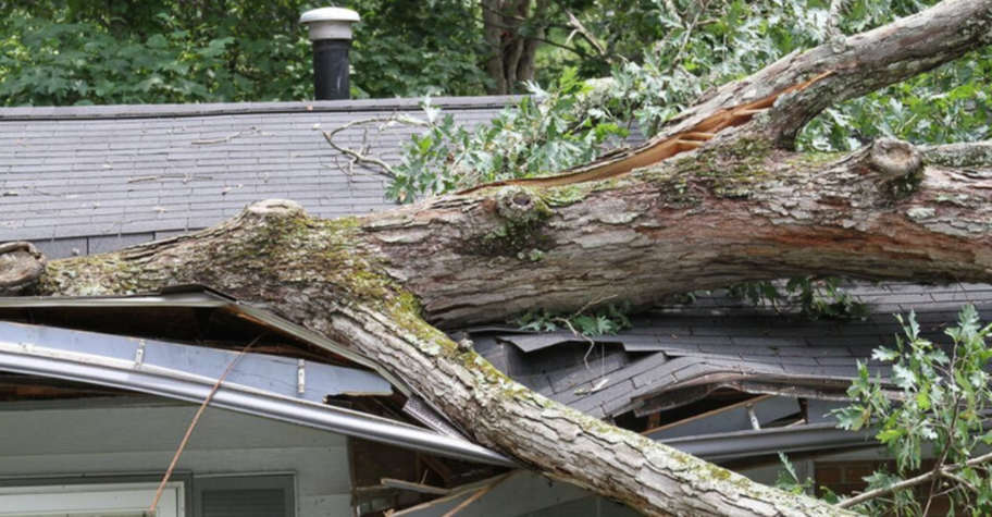 Emergency service by Next Level Tree Care for a tree fallen on roof in Shawnee, KS